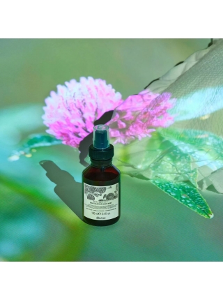 Восстанавливающий спрей Davines Naturaltech Revitalizing Hair Mist для увлажнения сухих волос, 100 мл