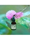 Відновлювальний спрей Davines Naturaltech Revitalizing Hair Mist для зволоження сухого волосся, 100 мл