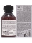 Відновлювальний спрей Davines Naturaltech Revitalizing Hair Mist для зволоження сухого волосся, 100 мл
