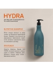 Шампунь Raywell B.io HYDRA Nutritive Shampoo для живлення сухого волосся з комплексом ферментованого рису (RR641), 1000 мл