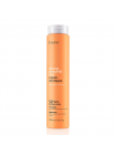 Відновлюючий шампунь Erayba ABH Repair Shampoo для пошкодженого та сухого волосся 250 мл Відновлюючий шампунь Erayba ABH Repair Shampoo для пошкодженого та сухого волосся 250 мл