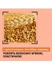 Шампунь Sinergy Nourishing Shampoo Y 1.1 для сухих и поврежденных волос, 1000 мл
