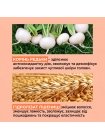 Шампунь Sinergy Keratin Shampoo Y 4.1 для реконструкции поврежденных волос с кератином, 250 мл