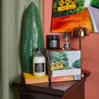 Подарочный набор Davines The free spirit для питания волос