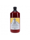 Очищающий шампунь против перхоти Davines NaturalTech Purifying Shampoo, 1000 мл