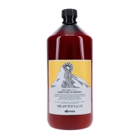 Очищаючий шампунь проти лупи Davines NaturalTech Purifying Shampoo, 1000 мл