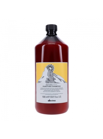 Очищающий шампунь против перхоти Davines NaturalTech Purifying Shampoo, 1000 мл