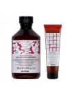 Набір Davines Natural Tech Replumping шампунь та кондиціонер для ущільнення волосся, 250/150 мл