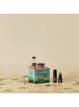 Подарунковий набір Davines OI Mini Discovery Box 2025