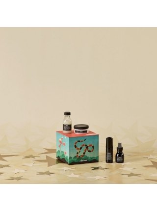 Подарунковий набір Davines OI Mini Discovery Box 2025