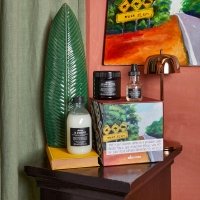 Подарочный набор Davines The free spirit для питания волос