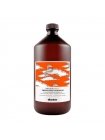 Енергетичний шампунь Davines Natural Tech Energizing Shampoo, 1000 мл