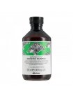 Восстанавливающий шампунь для волос Davines NaturalTech Renewing Shampoo, 250 мл