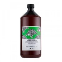 Поновлюючий шампунь для волосся Davines NaturalTech Renewing Shampoo, 1000 мл