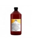 Очищающий шампунь против перхоти Davines NaturalTech Purifying Shampoo, 1000 мл