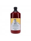Очищающий шампунь против перхоти Davines NaturalTech Purifying Shampoo, 1000 мл