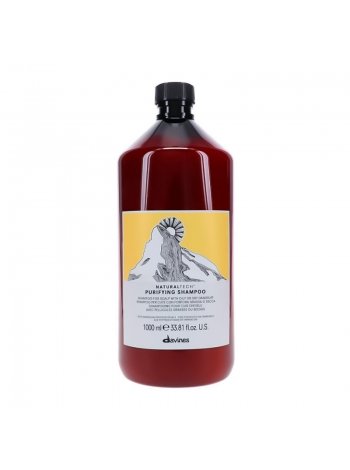 Очищающий шампунь против перхоти Davines NaturalTech Purifying Shampoo, 1000 мл
