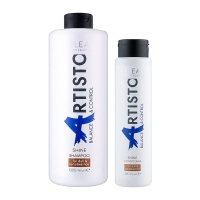 Набір Elea Artisto Balance&Control Shine DUO шампунь і кондиціонер для блиску волосся, 1000/300 мл