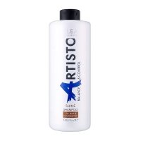 Шампунь Elea Professional Artisto Balance & Control Shine Shampoo для блеска волос, 1000 мл