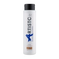 Кондиціонер Elea Professional Artisto Balance & Control Shine Conditioner для блиску волосся, 300 мл
