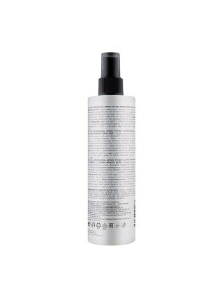 Спрей для волосся Elea Professional Artisto Black Sea Salt Mist структуруючий з морською сіллю, 250 мл