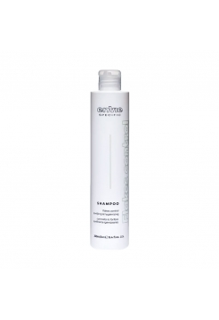Шампунь проти лупи Envie Flakes Control Shampoo (EN370), 250 мл