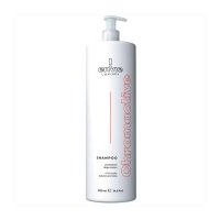 Шампунь Envie Chromactive Color Protector Shampoo для защиты цвета окрашенных волос (EN438), 1000 мл
