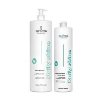 Набор Envie Daily Shine шампунь и кондиционер для ежедневного ухода с кокосом (EN474/EN476), 500 г (разлив)/500 мл (заводская)