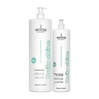 Набор Envie Daily Shine шампунь и кондиционер для ежедневного ухода с кокосом (EN474/EN476), 1000/500 мл (заводские)