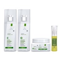 Набор Honma Tokyo Argan Perfect Care шампунь+кондиционер+маска+масло для окрашенных, тонких и сухих волос, 300/300/300/45 мл
