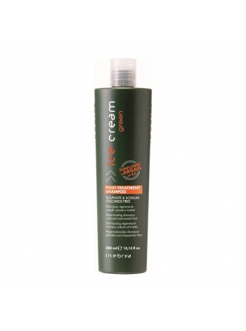 Регенеруючий шампунь Inebrya Ice Cream Green Post-Treatment Shampoo для фарбованого волосся (300 мл)