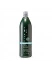 Увлажняющий шампунь Inebrya Green Moisture Gentle Shampoo для всех типов волос