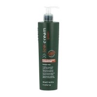Регенеруючий кондиціонер Inebrya Ice Cream Green Post-Treatment Conditioner для фарбованого волосся (300 мл)