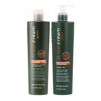 Набор Inebrya Ice Cream Green Post-Treatment регенерирующие шампунь и кондиционер для окрашенных волос, 2*300