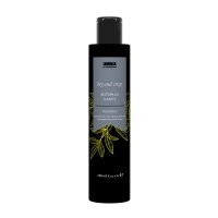 Шампунь Invidia Botoplus Karite Shampoo для пористых и вьющихся волос с маслом ши (EIN2046), 200 мл (заводская)