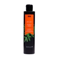 Шампунь Invidia Botoplus Argan Shampoo шампунь для окрашенных волос с аргановым маслом (EIN2050), 200 мл (заводская)