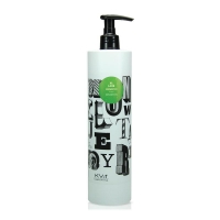 Шампунь для сохранения цвета с экстрактом королевской орхидеи KV-1 Shampoo sensetive (500 мл)
