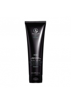 Безсульфатний шампунь Paul Mitchell Awapuhi Wild Ginger Repair Moisturizing Lather Shampoo зволожувальний (250 мл)