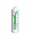 Шампунь для ежедневного использования Raywell Bio POMA Shampoo