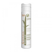 Реконструктор Raywell Cactus speedy hair (250 мл)