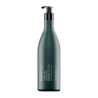 Ламеллярный шампунь Raywell BIO Lamellar Shampoo для блеска волос (RR600), 1000 мл (заводская)
