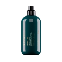Спрей шиммер Raywell BIO Lamellar Thermo Shimmer Spray для блиску волосся (RR604), 200 мл