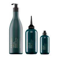 Набір Raywell  BIO Lamellar ламелярні шампунь, вода, спрей для блиску волосся (RR600/RR602/RR604), 1000+500+200 мл