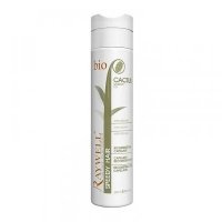 Реконструктор Raywell Cactus speedy hair (250 мл)