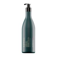 Ламелярний шампунь Raywell  BIO Lamellar Shampoo для блиску волосся (RR600), 1000 мл (заводська)