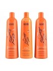 Набор Richee Argan E Ojon для кератинового выпрямления, 3х200 г (разлив)