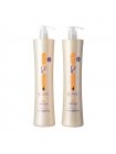 Набор биксипластии Wennoz Brasil (Honma Tokyo) Bixyplastia Plast Hair Precious Blend, 2х1000 мл (заводские)