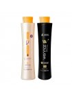 Набор биксипластии Wennoz Brasil (Honma Tokyo) Bixyplastia Plast Hair Precious Blend, 2х1000 мл (заводские)