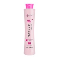 Шампунь Wennoz Brasil (Honma Tokyo) B.Tox Strawberry Shampoo глубокой очистки волос, 200 г (разлив)