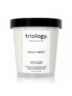 Шампунь-скраб Triology Scalp Reset для волосся і шкіри голови з морською сіллю та вугуллям, 500 г